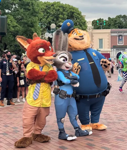 2a91eca125c1f9499d06425e0f0d5bb3-sz_874758