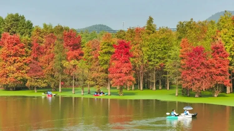 2a96b3c1e427c6b5fdd95c1c667254c1-sz_152218