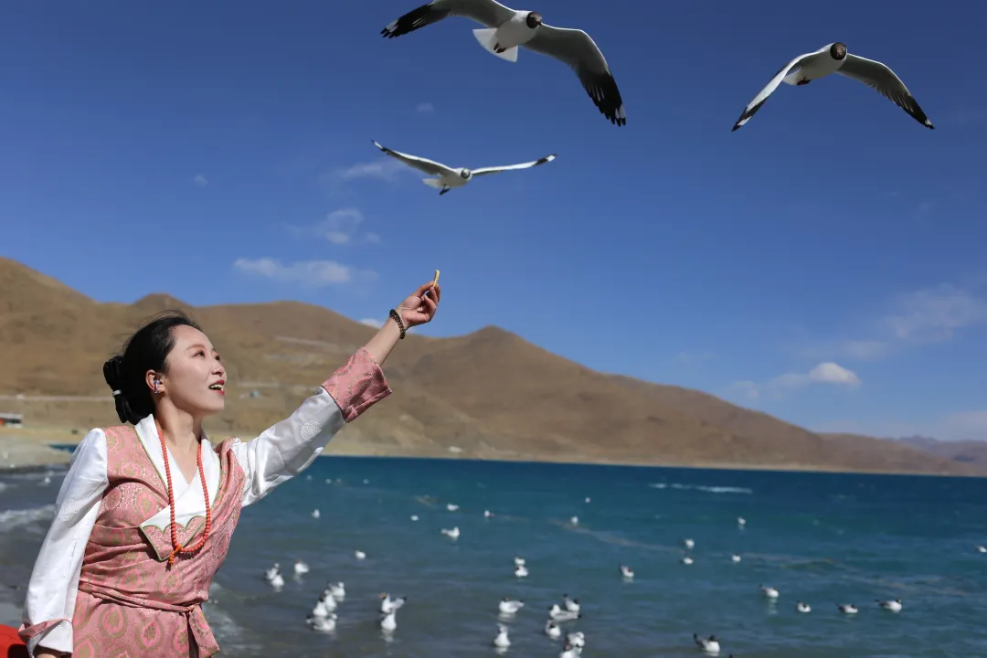 2a9dcd95da66798b23cc01dd9e0a8f77-sz_863974-1