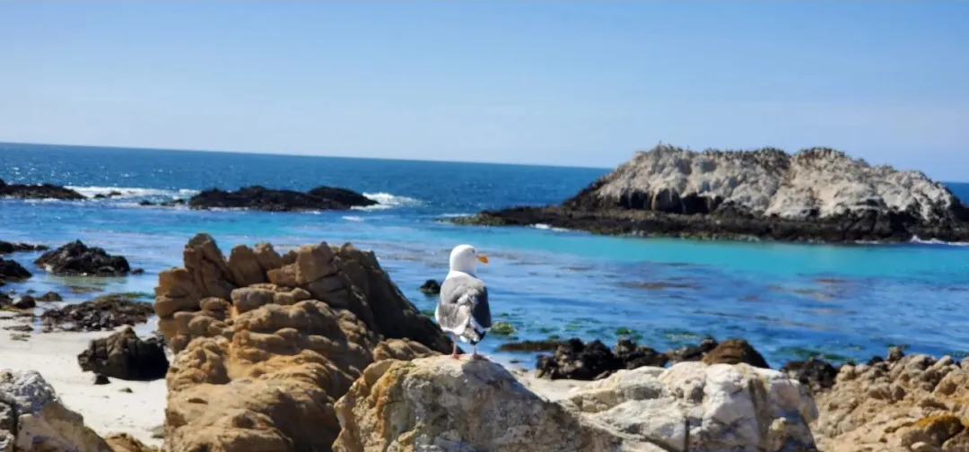 2afa8f0ad90dc800bbec72a76596240d-sz_176751 2afa8f0ad90dc800bbec72a76596240d-sz_176751