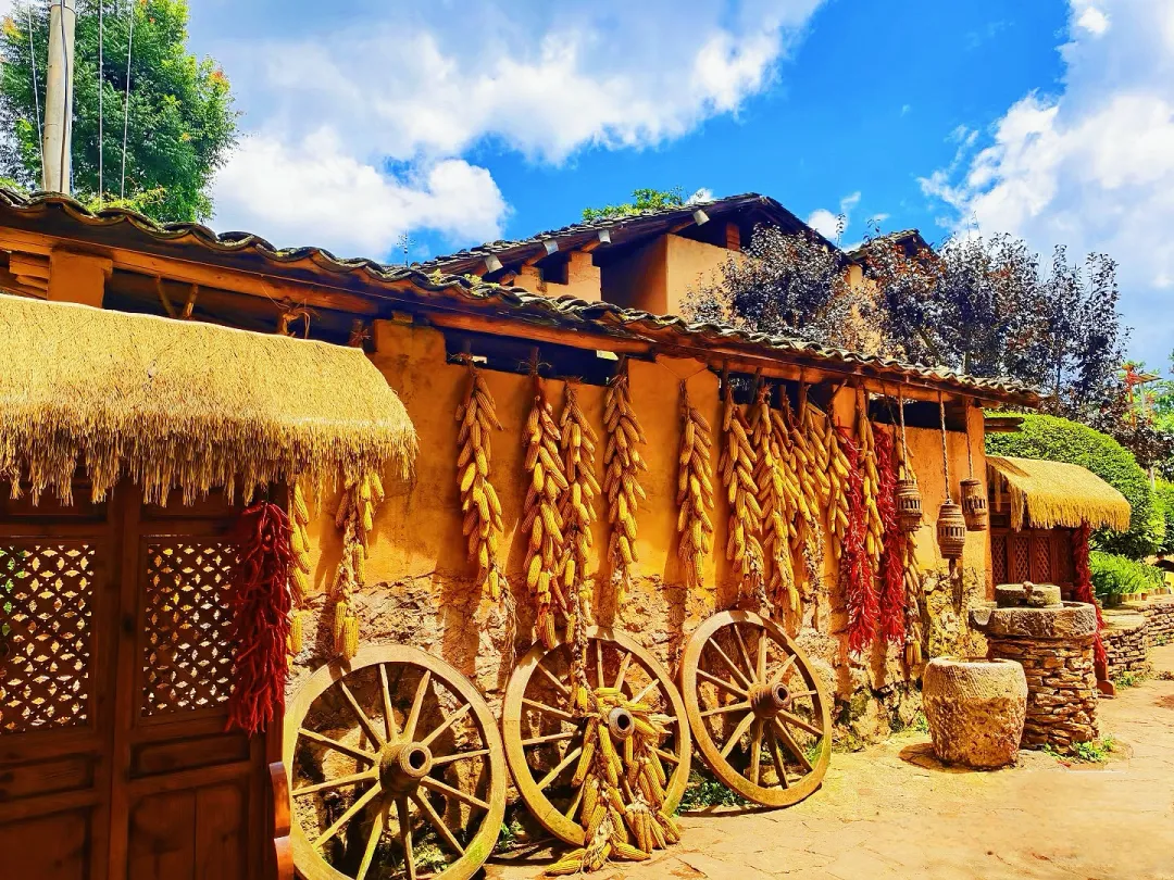 2b47cb5a00f590d998f65f03a9c74577-sz_2898507