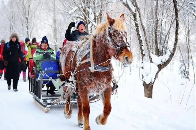 2b491be6eb981cd4d88e24fe0fa36459-sz_71117-1