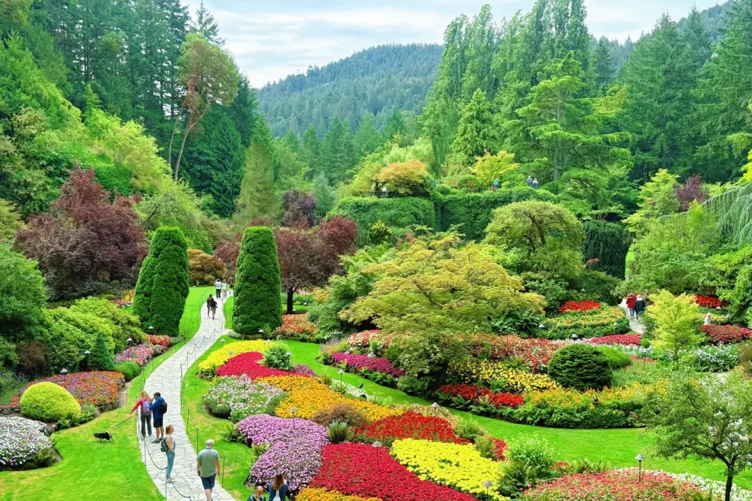 2b4ae8b73cd942834485c22ebc5896de-sz_3775334 2b4ae8b73cd942834485c22ebc5896de-sz_3775334