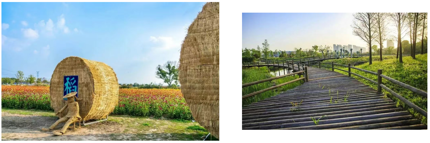 2b569dc6eba5b84f874784c7d9ed4a38