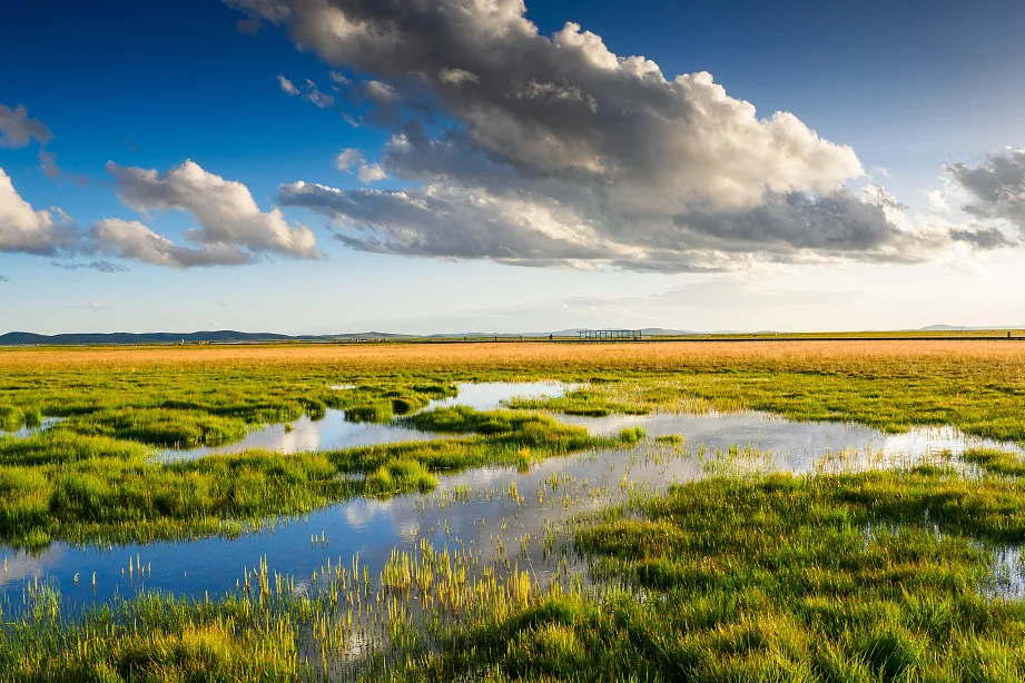 2bb7599669008e9104204410a1dc6b54-sz_1316714