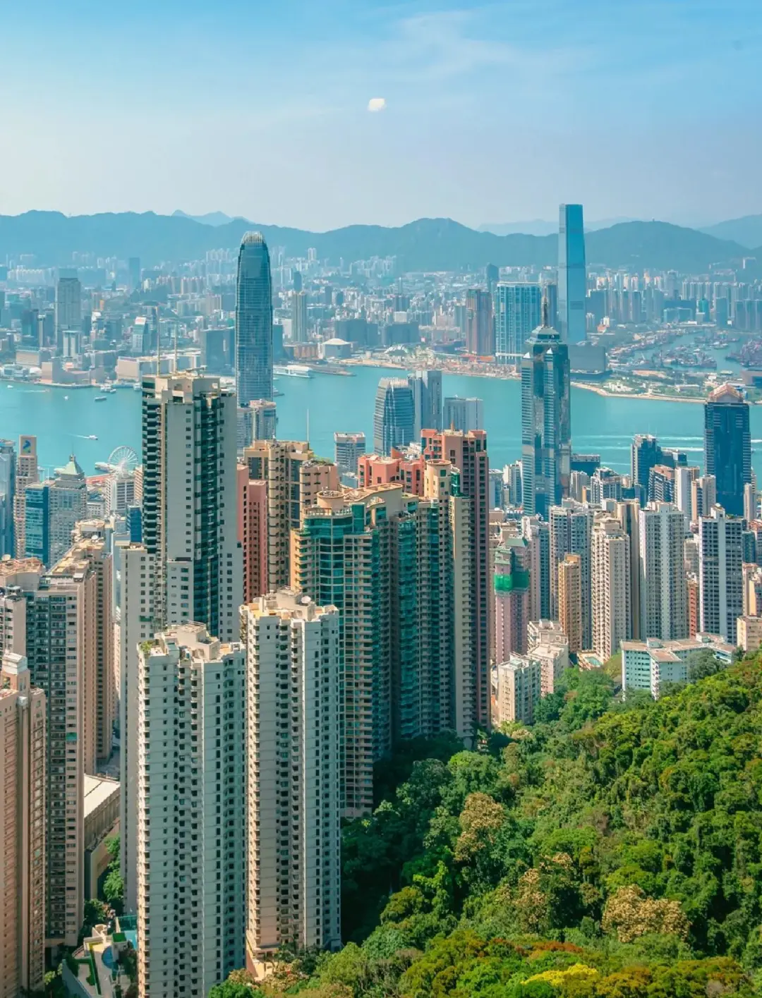 2be9a44c924d492c78be3073546db1e3-sz_383867