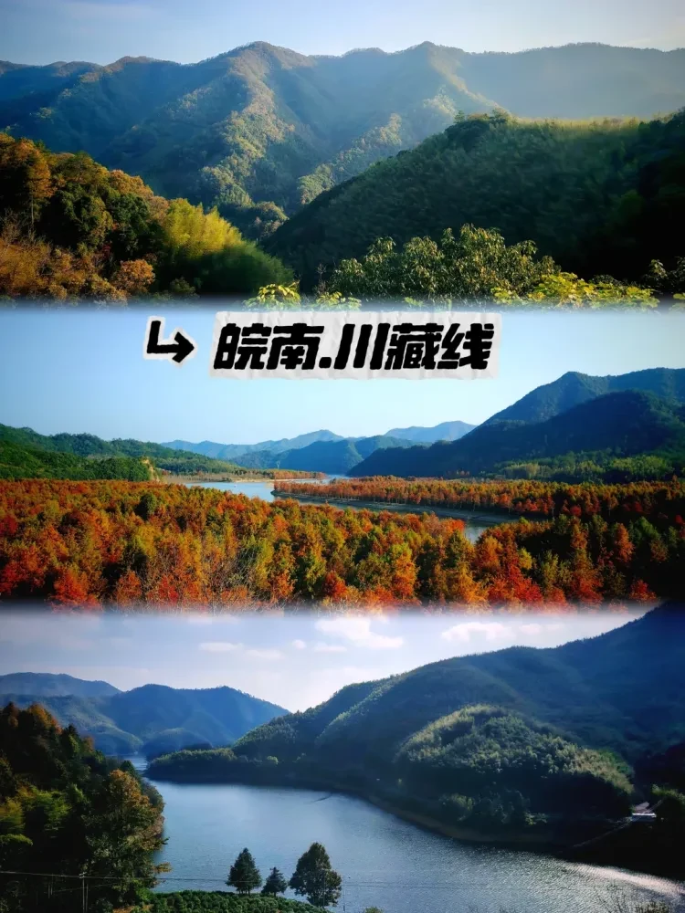 2bf38ded0622a013fe0d92825c66422d-sz_2729295 2bf38ded0622a013fe0d92825c66422d-sz_2729295