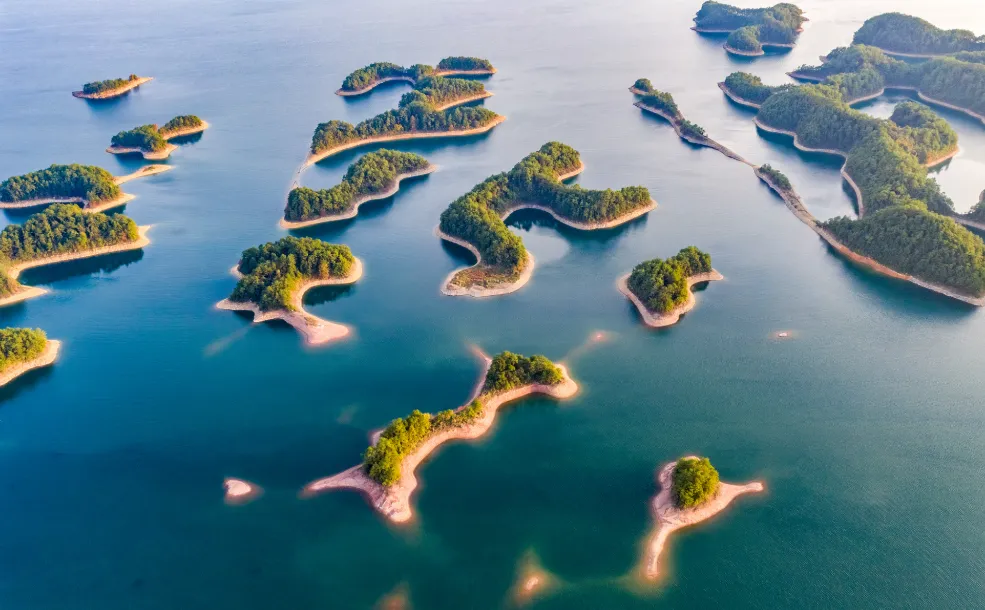 2bf83c1cef8cb604749f8331e509b936-sz_1121567