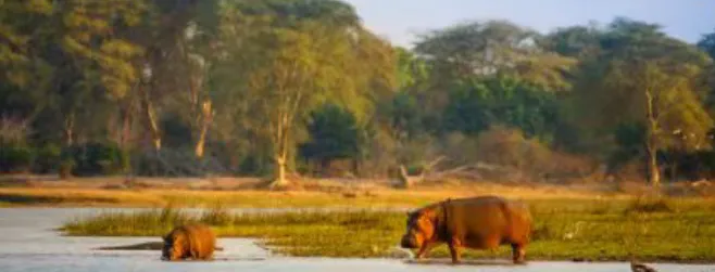 2c3892bd2c7abfcb60b178d5de5f673d-sz_278690 2c3892bd2c7abfcb60b178d5de5f673d-sz_278690