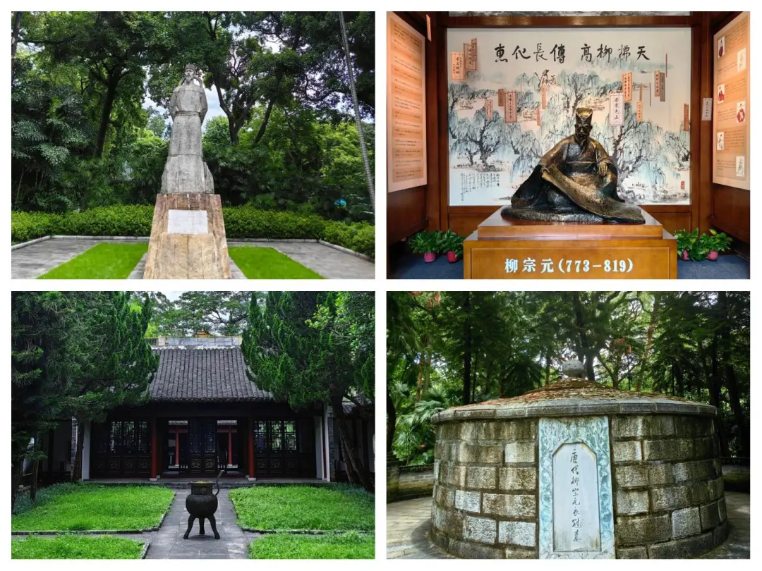 2cafad95349f94665ef0a26e389dc1ce-sz_350656