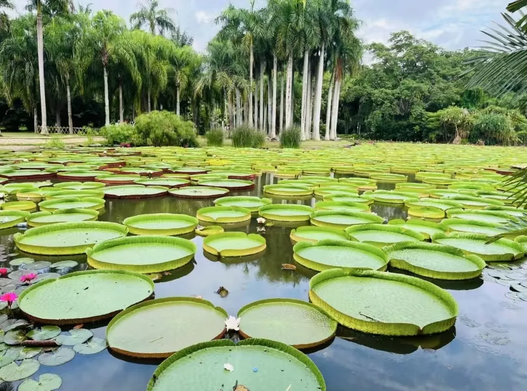 2cc39fa59dc8e9ce1beb6d806aba8a07-sz_306716