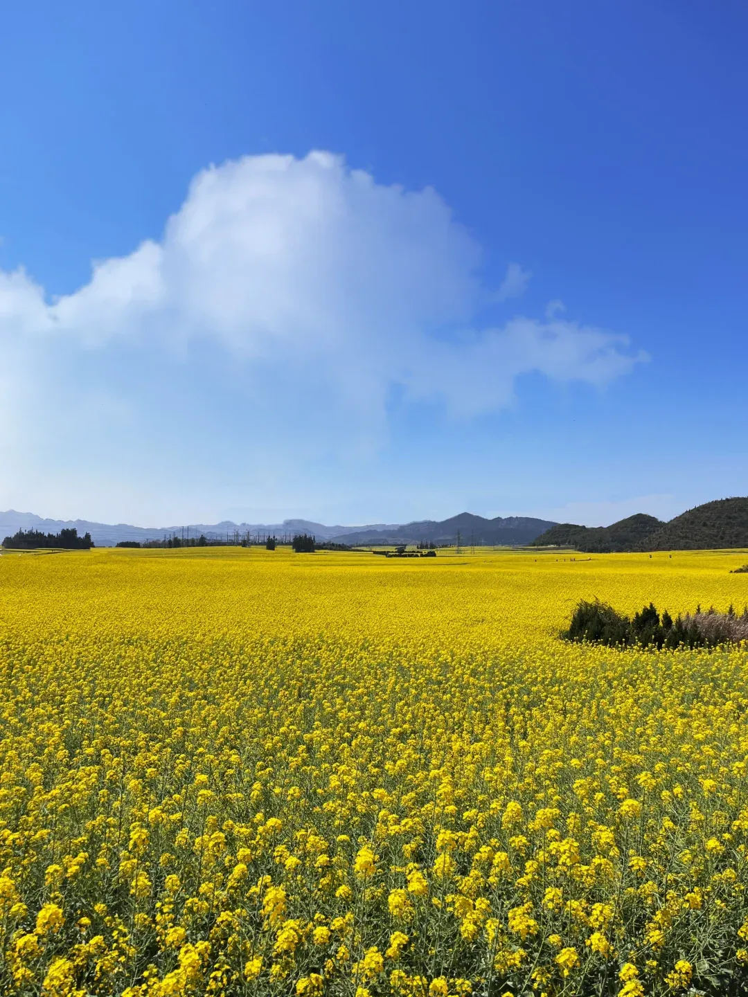 2ccc28c1f9502eeac62b7310907a4176-sz_2420150