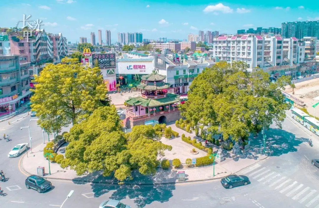 2ce90355012dd0a9cedab1779bffe751-sz_172924