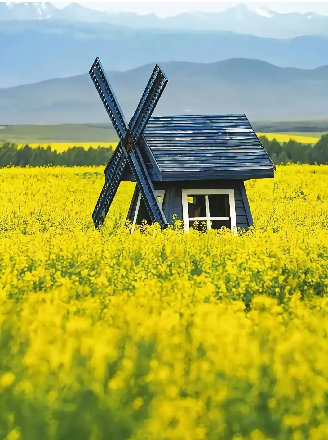 2cff33970ddc0b77c549f578547910e0-sz_435311