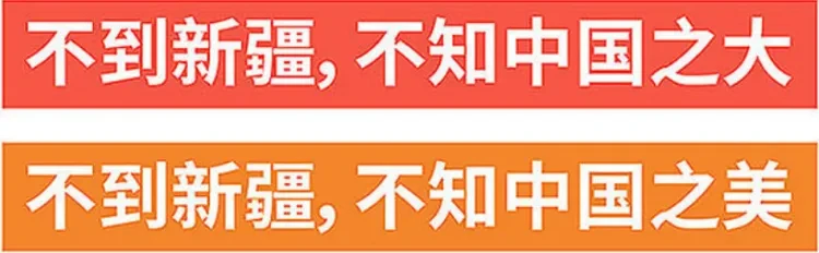 2d151e80a51fa98a78d208d22ba9f7ce-sz_223833