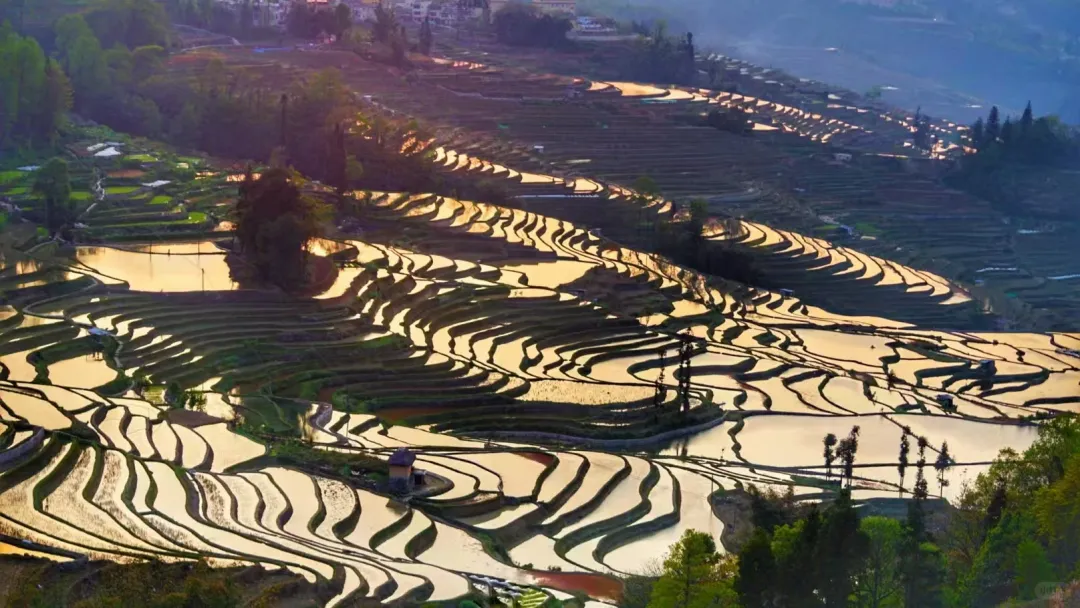 2d18fa84f85130280b7e15c60790fc02-sz_3056467