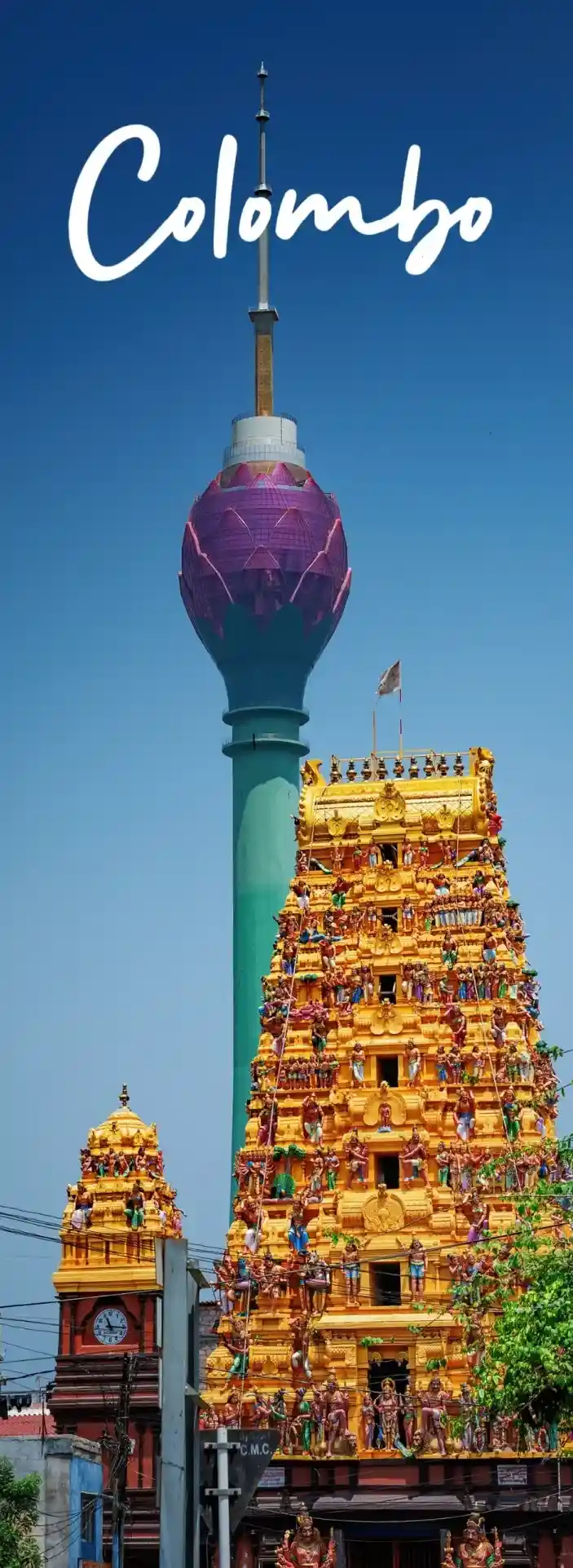 2d26582c956c95bb6823723d6908d152