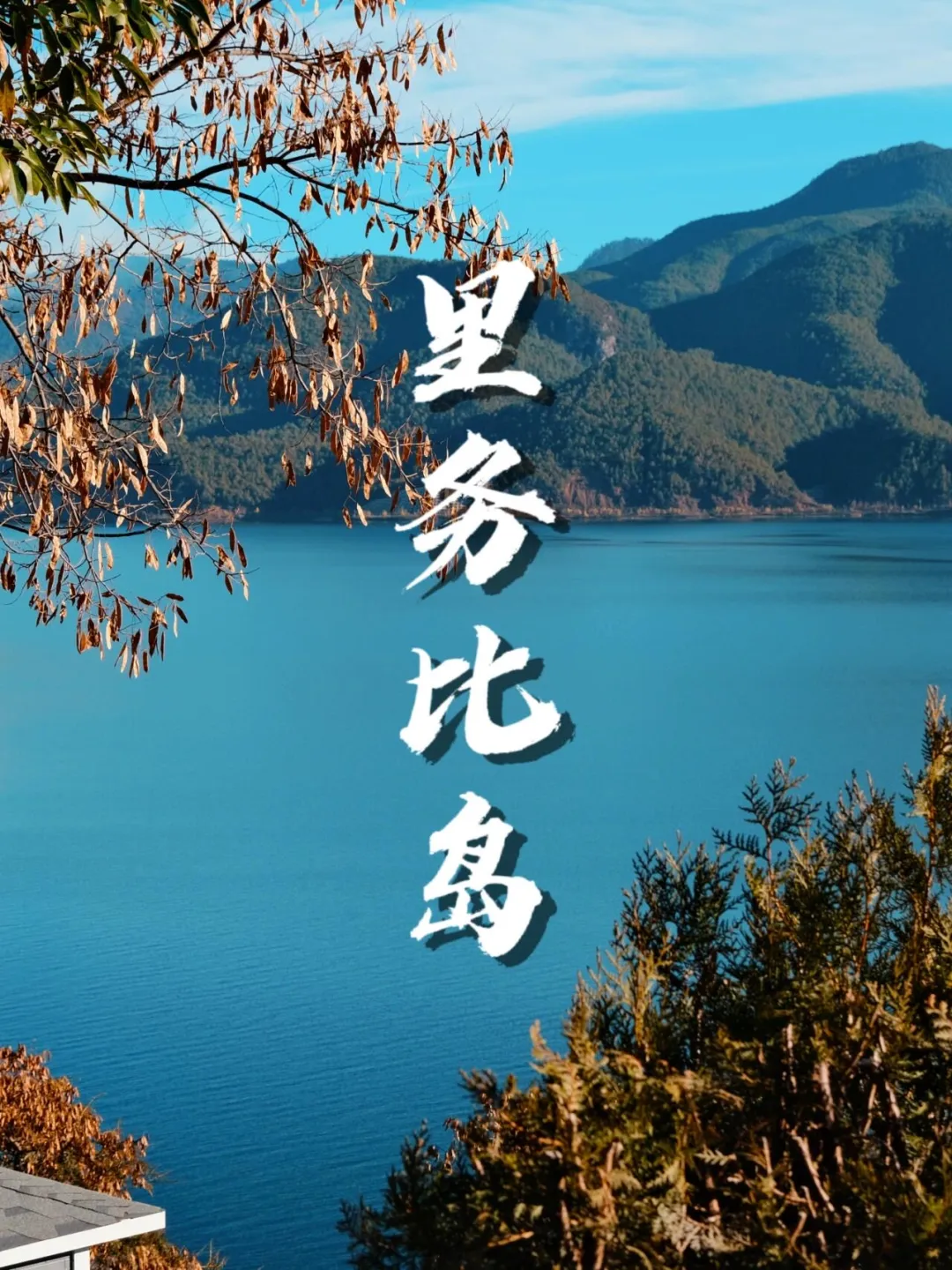 2d3e92018d4657f099856d0ddeb3d441-sz_520705