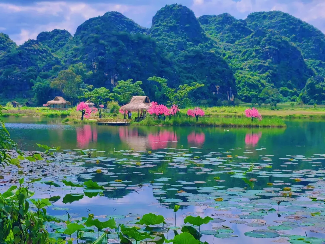 2d6d82174a3efe5ffa29b7ee436028ab-sz_469348 2d6d82174a3efe5ffa29b7ee436028ab-sz_469348