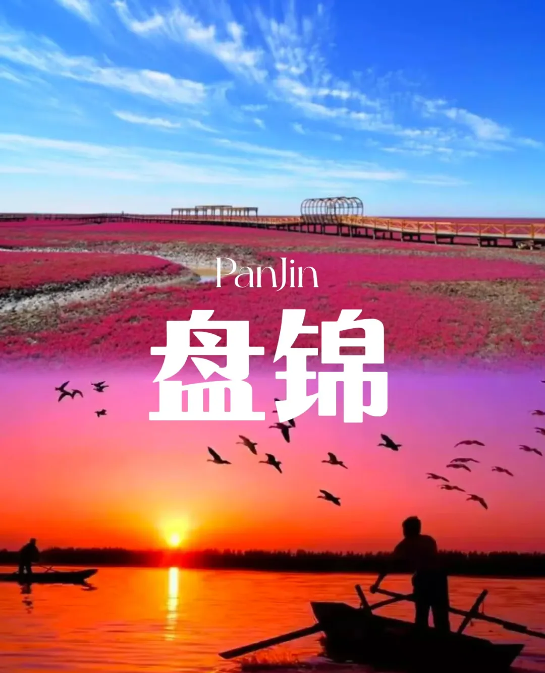 2d704f6ca0767e64b2dc9b920b0f8a0d-sz_349471-1