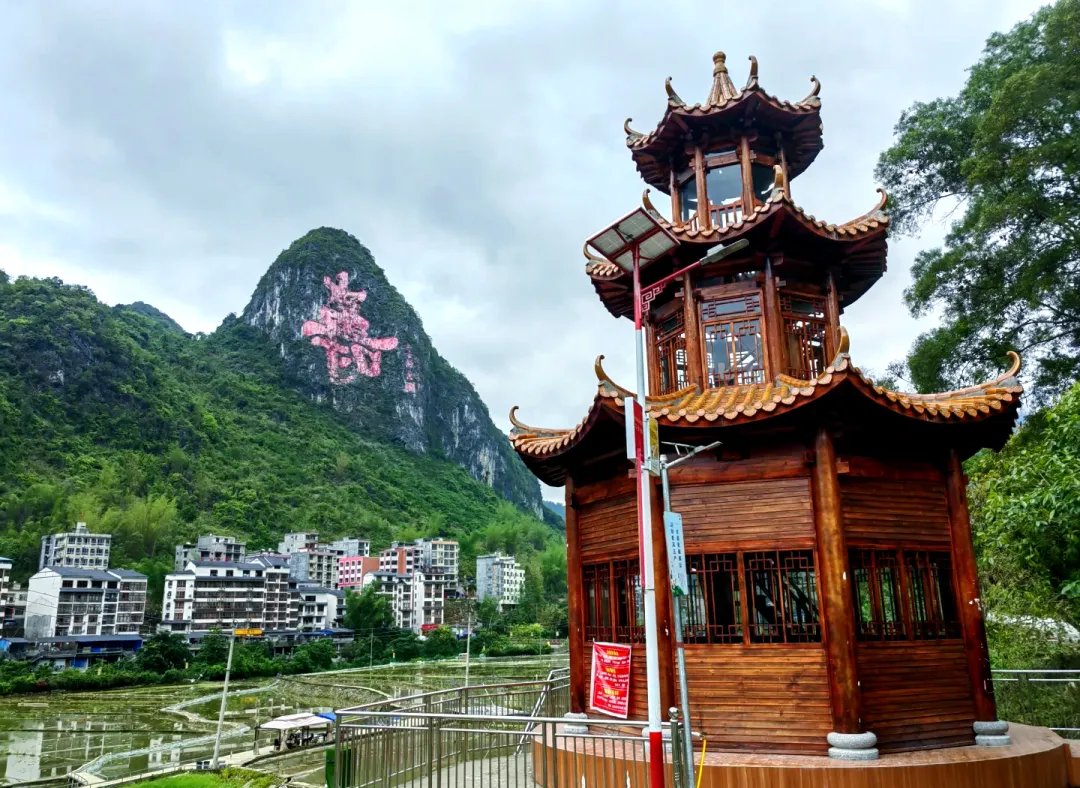 2d85c4d1d8f86096e2e86f56a323592b-sz_2244492