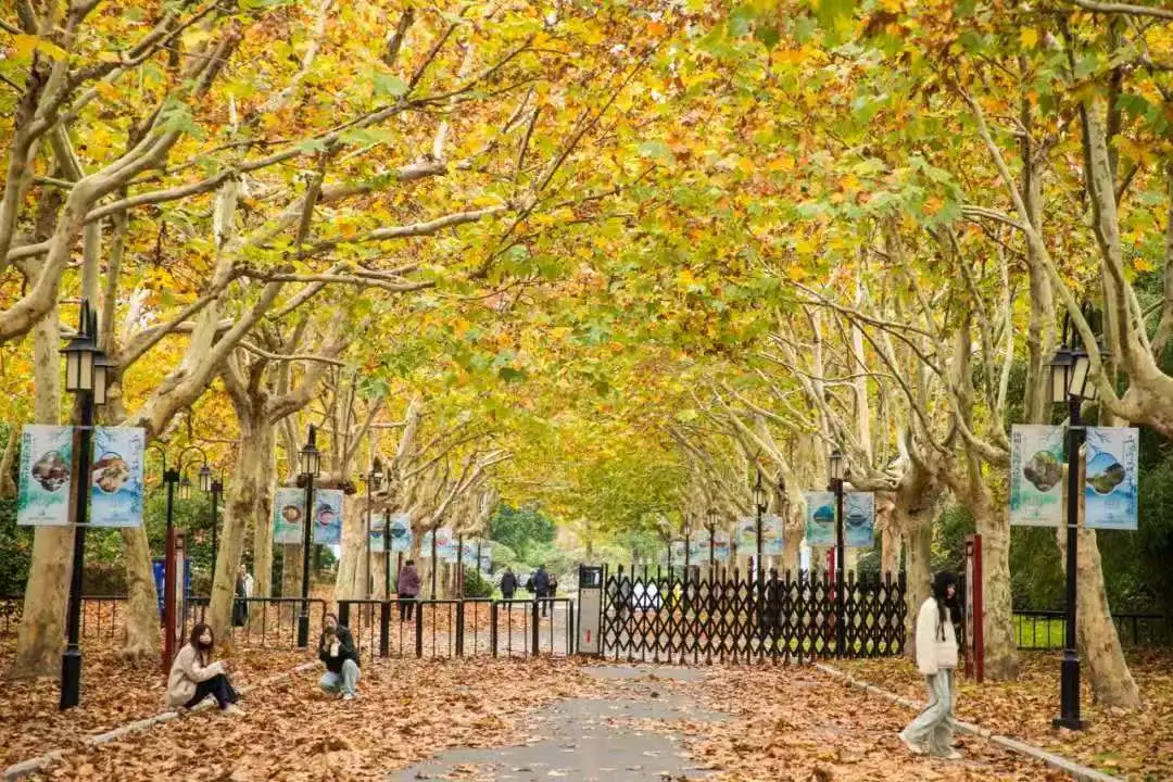 2d96a7c910b41b1ec9dfed45036108f4-sz_168775