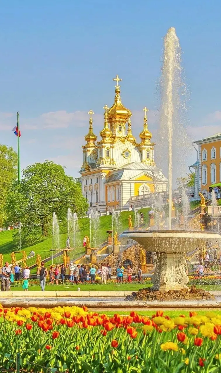 2da14368fed01e7572c1858984aac8d2-sz_216873