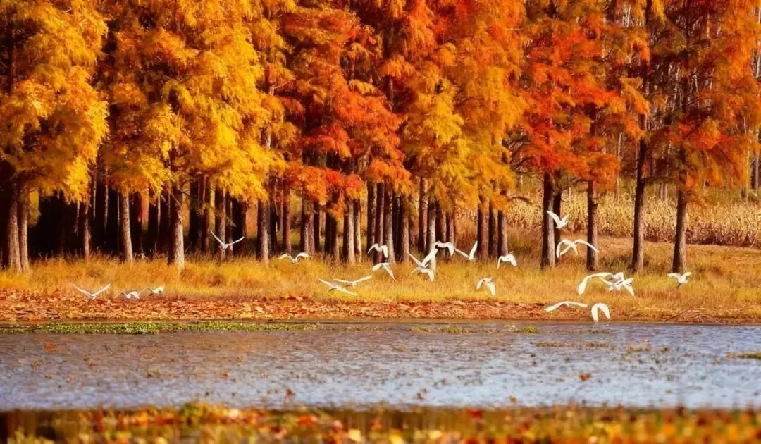 2dac35c55e577e839287d6b66147085e-sz_167323