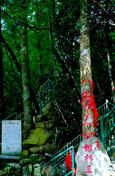 2daf6343b0f711abb96e1c2da1665918-sz_759590-1