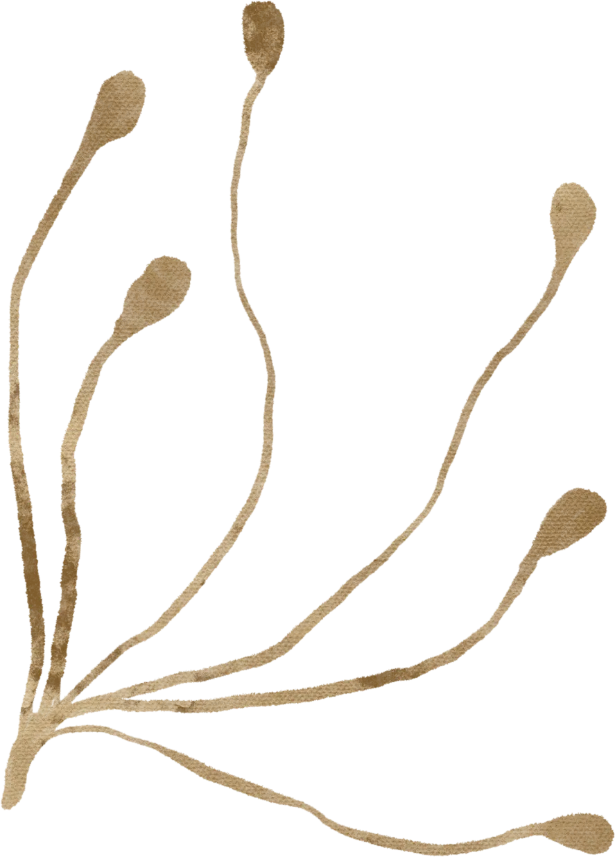 2dddec6ce46a0b8e6830552116dd7bd3-sz_444598