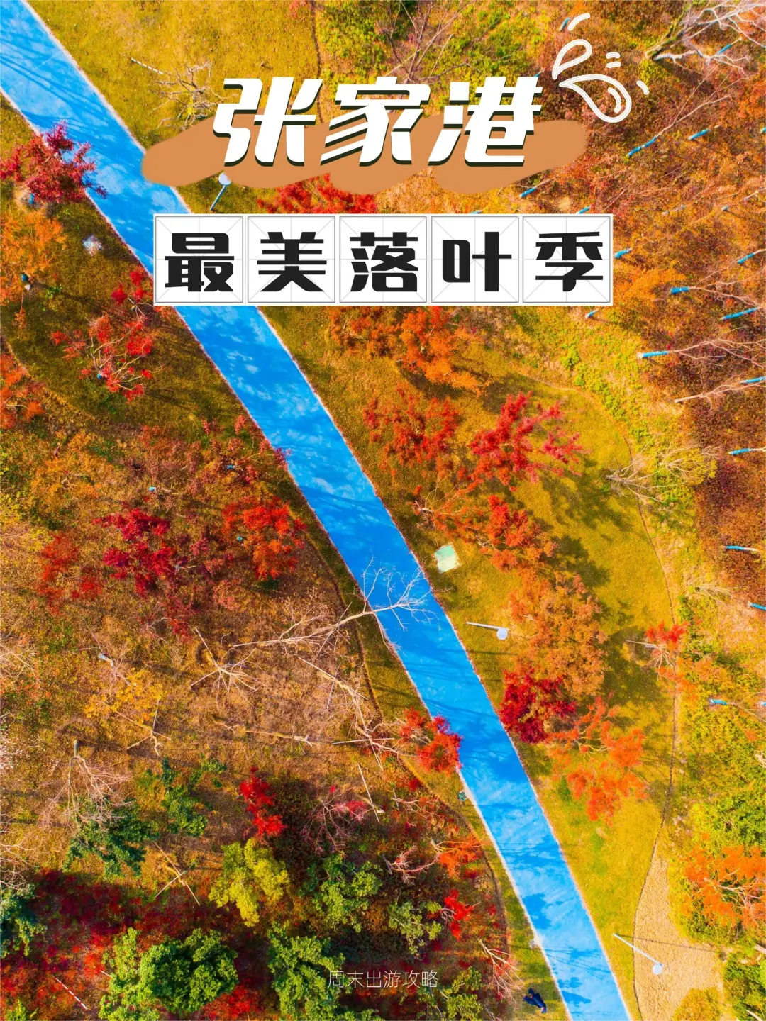 2df458108b3007f30f6050a227151d55-sz_1184152