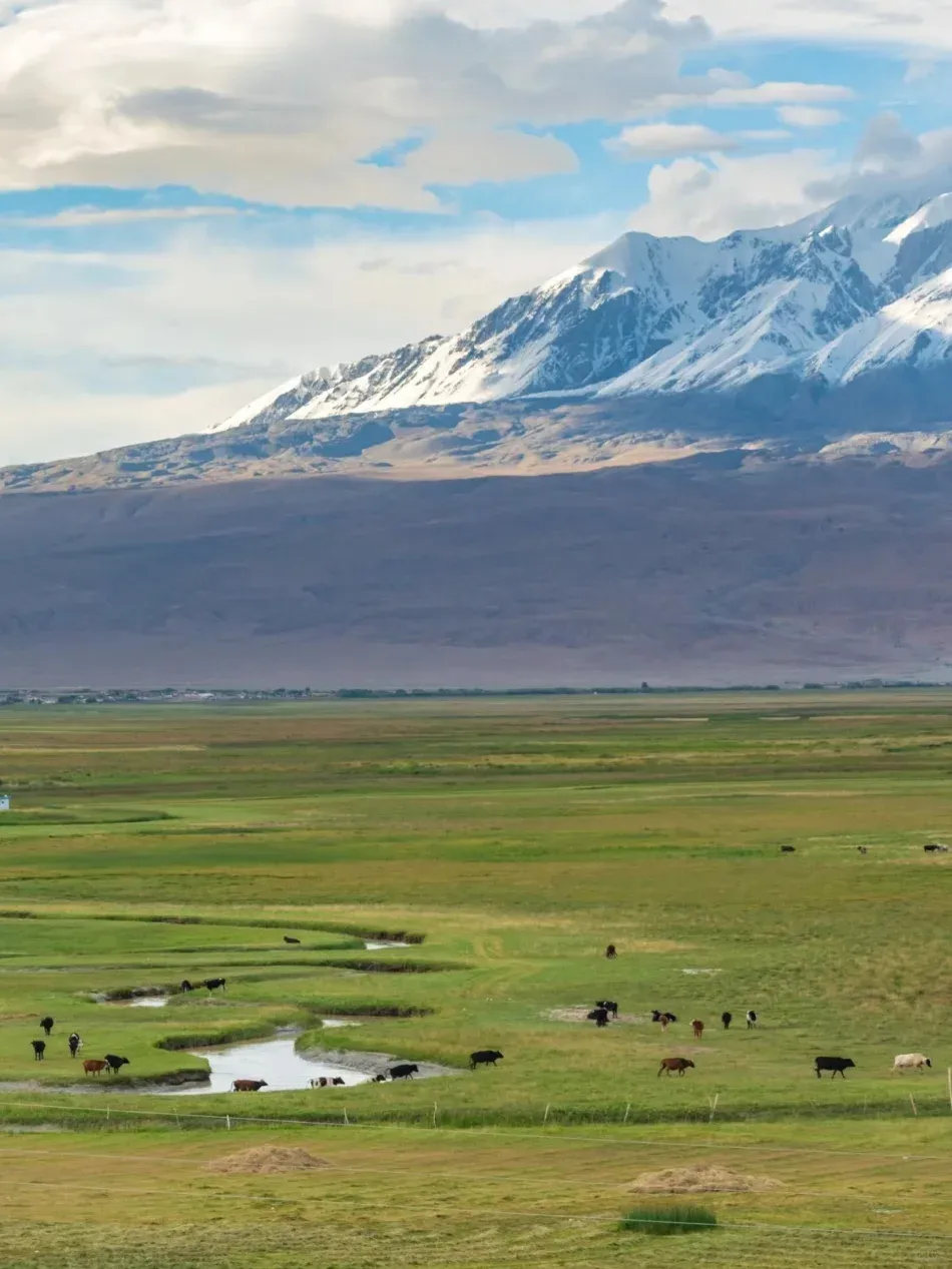 2e08ec1c96001eabcbdd848a9ce30918-sz_1635165 2e08ec1c96001eabcbdd848a9ce30918-sz_1635165