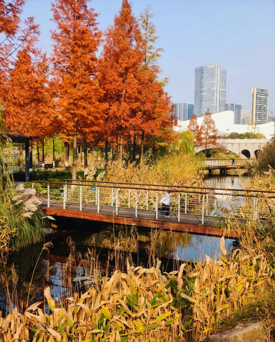 2e1b9cdd4b84931c705d0db8ef579249-sz_2546302 2e1b9cdd4b84931c705d0db8ef579249-sz_2546302