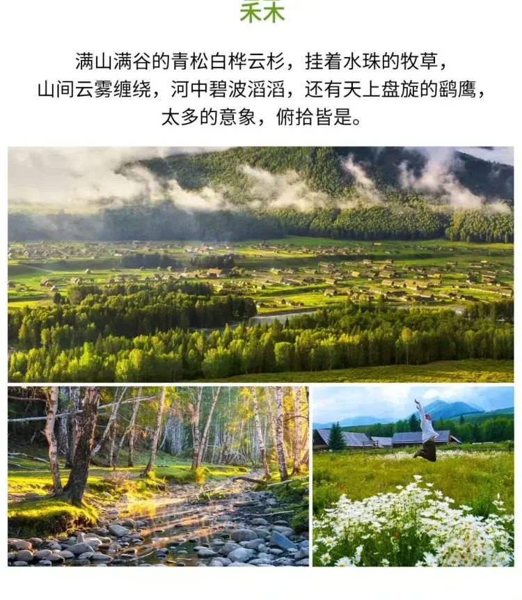 2e5aff46311a44eb9a9b383ccf708d3b-sz_2822168