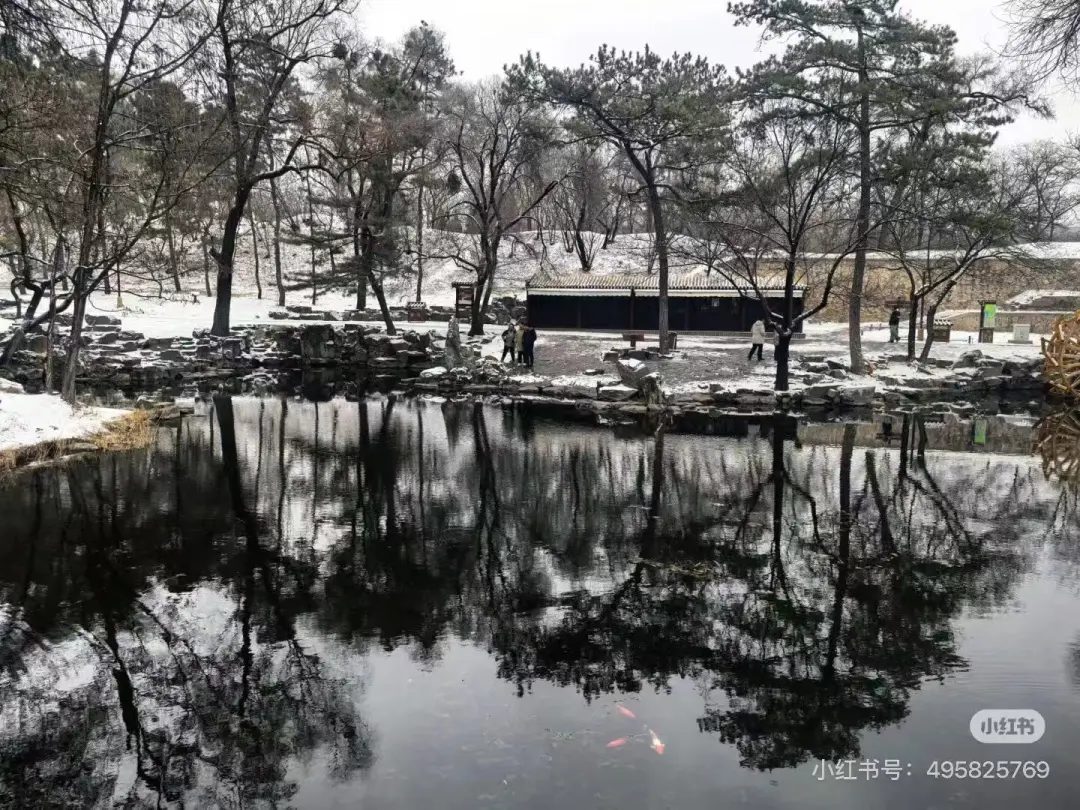 2e62bf1d2137d5867af02d72f75f4861-sz_389405