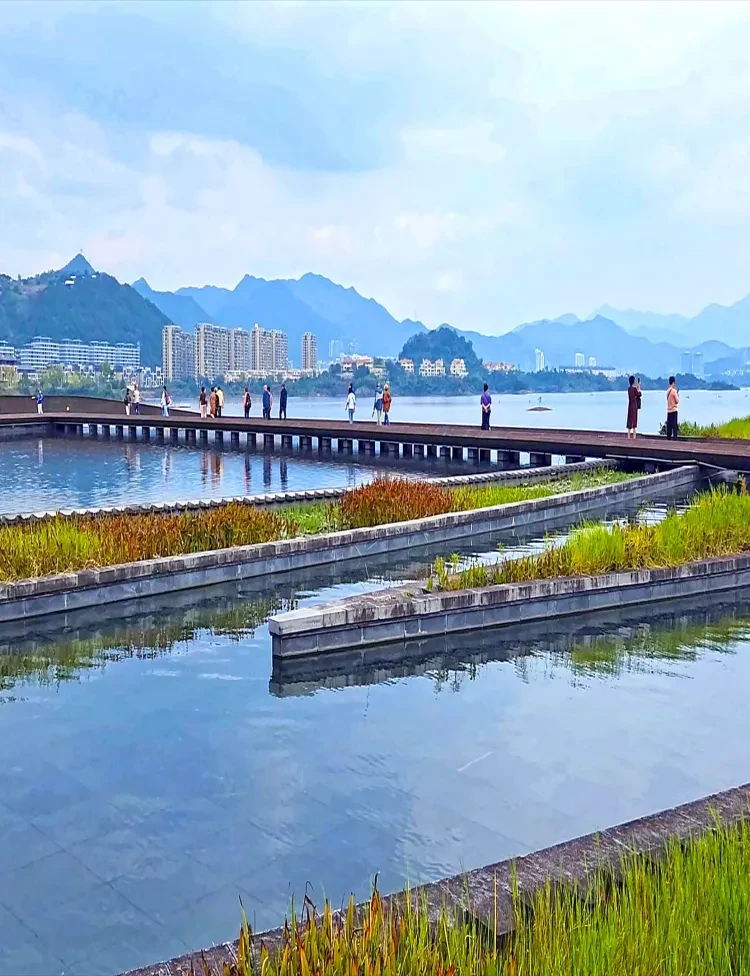 2e6b7278ca87235617b51f46277ec89e-sz_445691