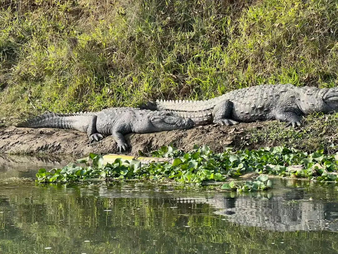 2e6d6b2581ef2ef56d0a895670d09edd-sz_867682