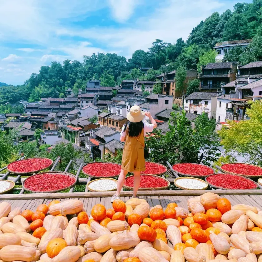 2e70293fa5060f7346e02539612da11c-sz_2509794 2e70293fa5060f7346e02539612da11c-sz_2509794