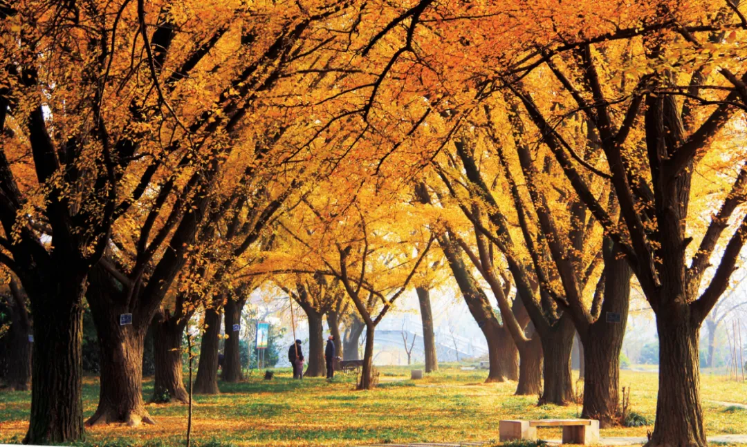 2e7ff79f74c6e3b93d87f75cd8ee9989-sz_1618523