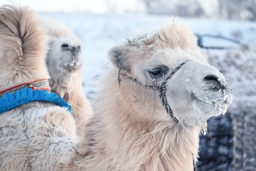 2e8aaba8990db63c31d603ab849a657d-sz_10180396 2e8aaba8990db63c31d603ab849a657d-sz_10180396