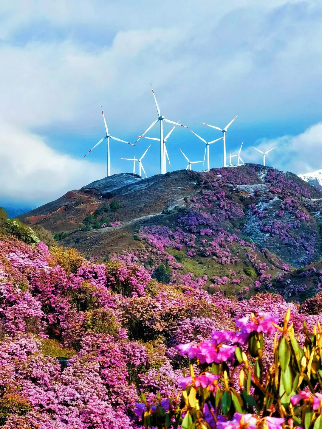 2e8f7931bc9c56a1e7b544a3ef55f0a1-sz_1032890