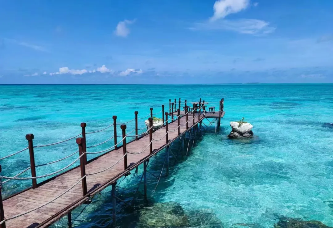 2e9a343f70afb3fc8094a9a63e205b2d-sz_236192