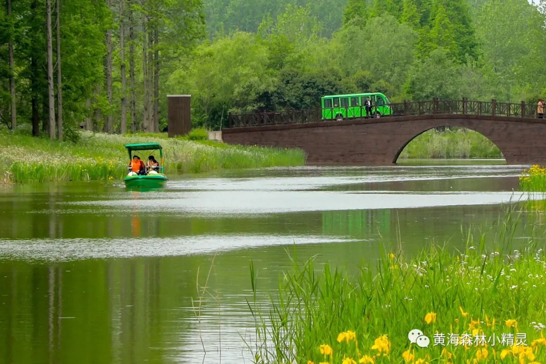 2e9c3f75aaf2bd3cd78caec8e9016f22-sz_443862 2e9c3f75aaf2bd3cd78caec8e9016f22-sz_443862