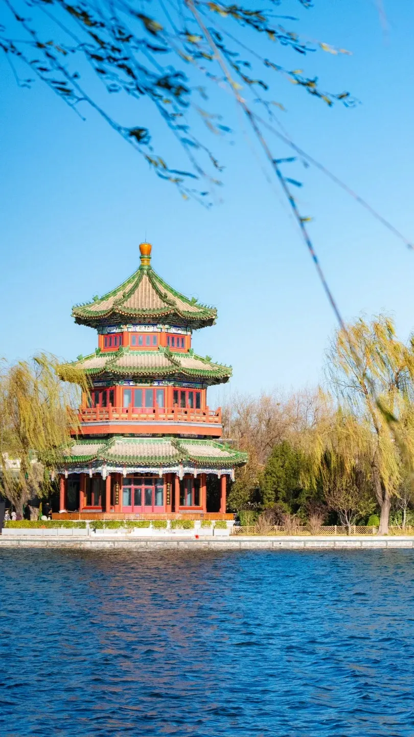 2ea8894049a1d7f6e81e2ff3e12874d2-sz_477797-1