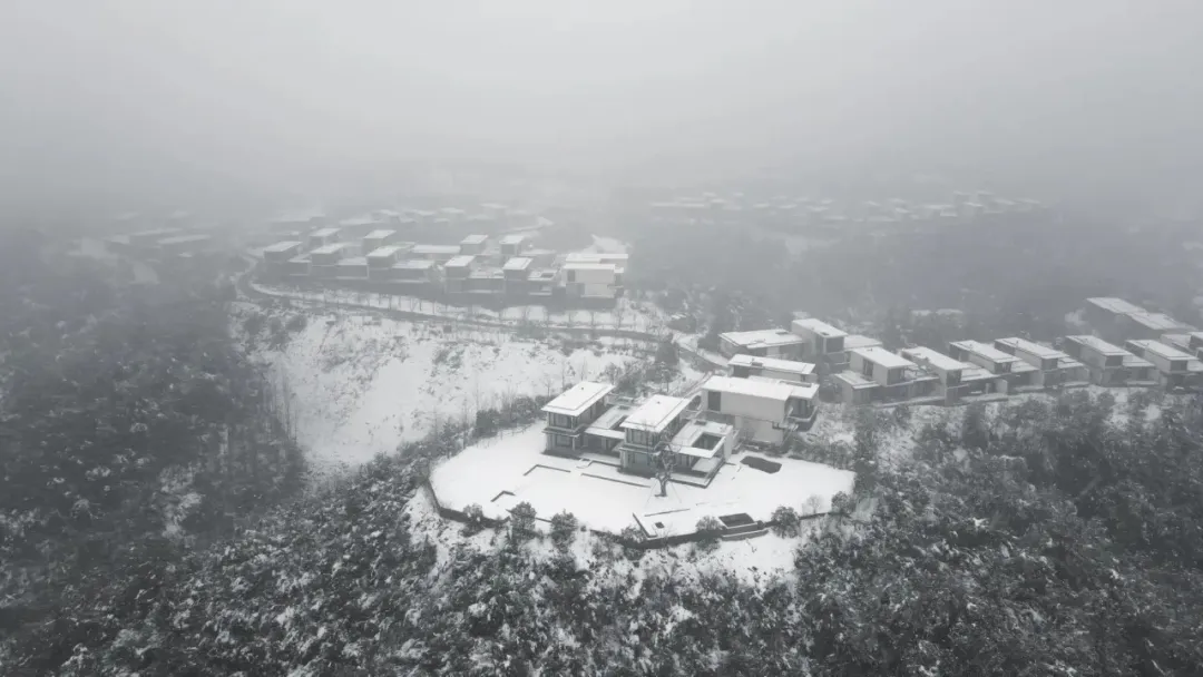 2eb3a53b4ba57e249a835d1f5daf3106-sz_301971