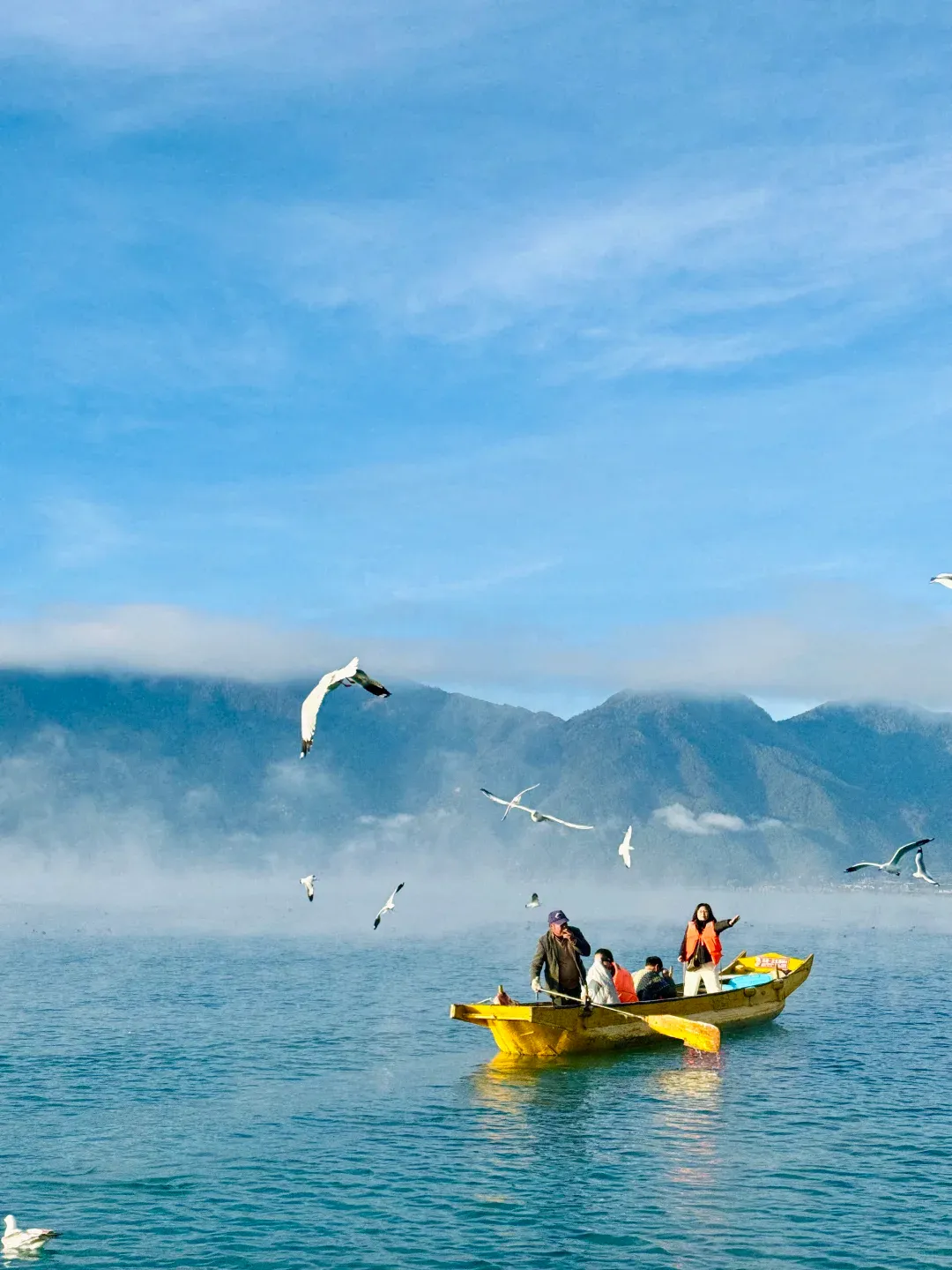 2ef64b3176df721b3cd3977ca22c2737-sz_1468372 2ef64b3176df721b3cd3977ca22c2737-sz_1468372