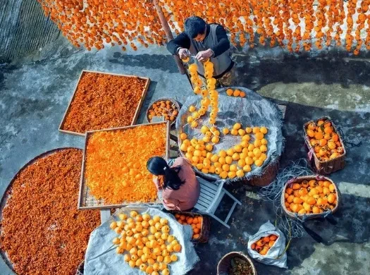 2effa35ad115b8f252886e3fa6421302-sz_598701 2effa35ad115b8f252886e3fa6421302-sz_598701