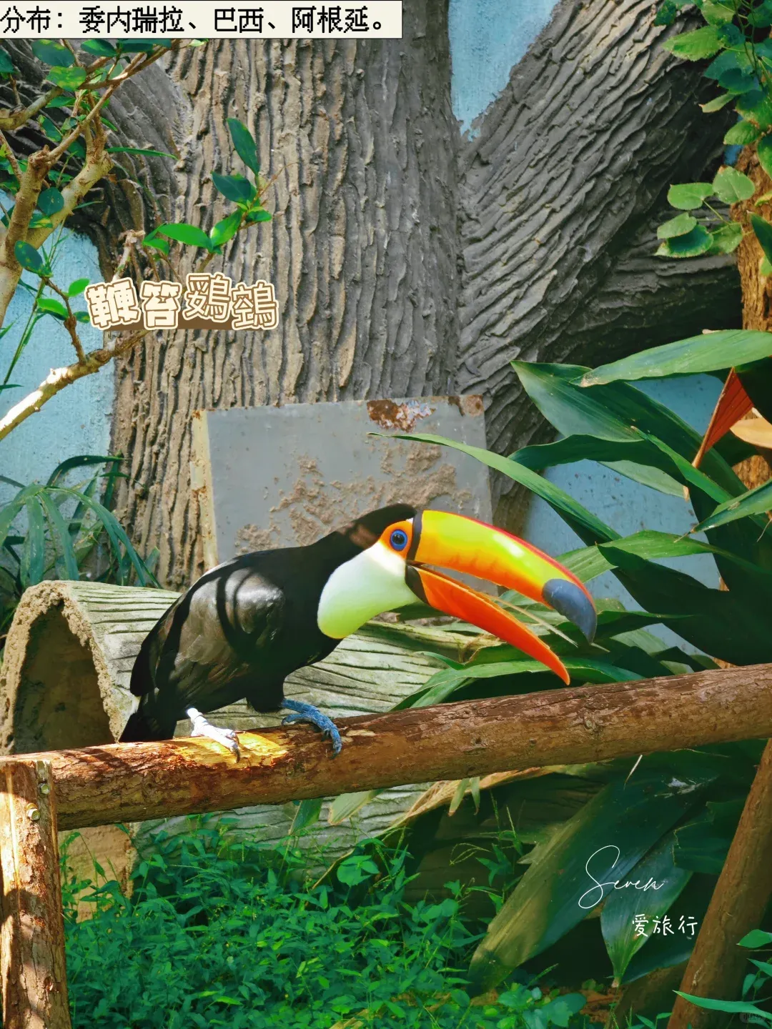 2f129100850fc0311c45906fa6590232-sz_3624848 2f129100850fc0311c45906fa6590232-sz_3624848