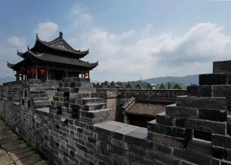 2f144bdc655b89389f23fed20e32f9b7-sz_111091