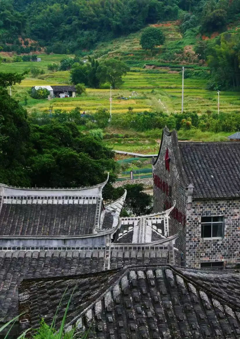 2f418810c2bc9ce6648657c346146fa1-sz_2617879